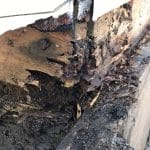 Signs of Dry Rot: What Every San Jose Homeowner Should Know